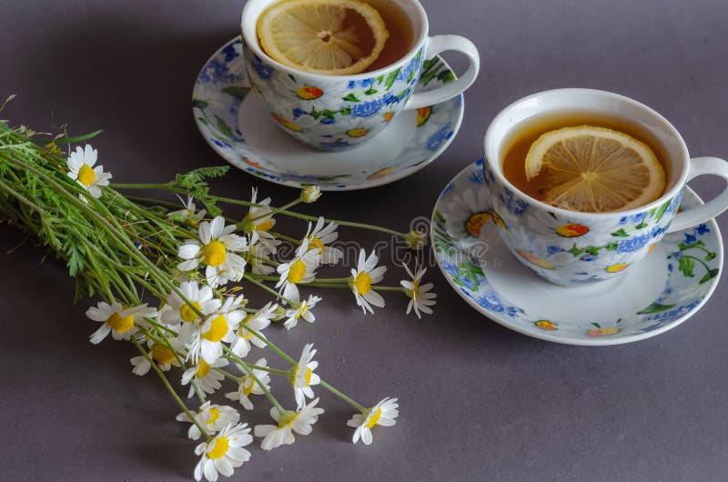 Flowers and two cups of tea with lemon on a gray background. Small field daisies. Ceramic tableware decorated with camomiles. Side view from an angle. Flowers and two cups of tea with lemon on a gray background. Small field daisies. Ceramic tableware decorated with camomiles. Side view from an angle