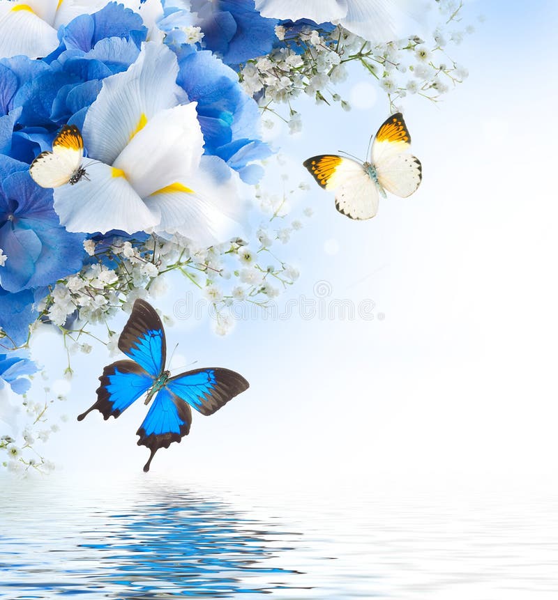 Fleurs et guindineau, bleus images libres de droits Fleurs et guindineau, bleus images libres de droits