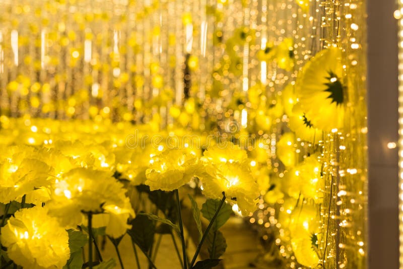 fleurs jaunes avec l'abrégé sur bokeh, x& x27 ; MAS photographie stock fleurs jaunes avec l'abrégé sur bokeh, x& x27 ; MAS photographie stock