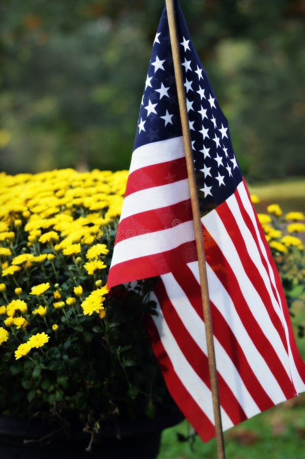 Fleurs jaunes avec le drapeau américain photo libre de droits Fleurs jaunes avec le drapeau américain photo libre de droits