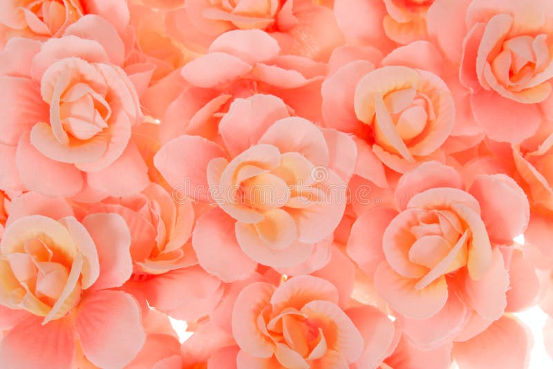 Fleurs rouges images stock Fleurs rouges images stock