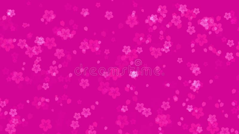 Fleurs sakura abstraites sur fond rose vif illustration libre de droits