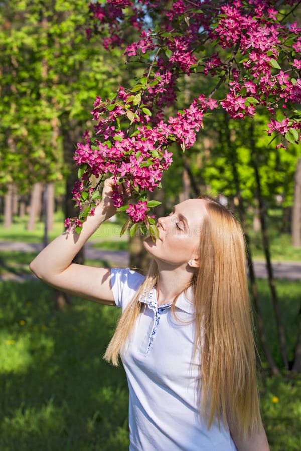 Fleurs sentantes de pommiers de belle femme blonde Fille et pommier de floraison Printemps avec des fleurs d'arbres photographie stock libre de droits Fleurs sentantes de pommiers de belle femme blonde Fille et pommier de floraison Printemps avec des fleurs d'arbres photographie stock libre de droits