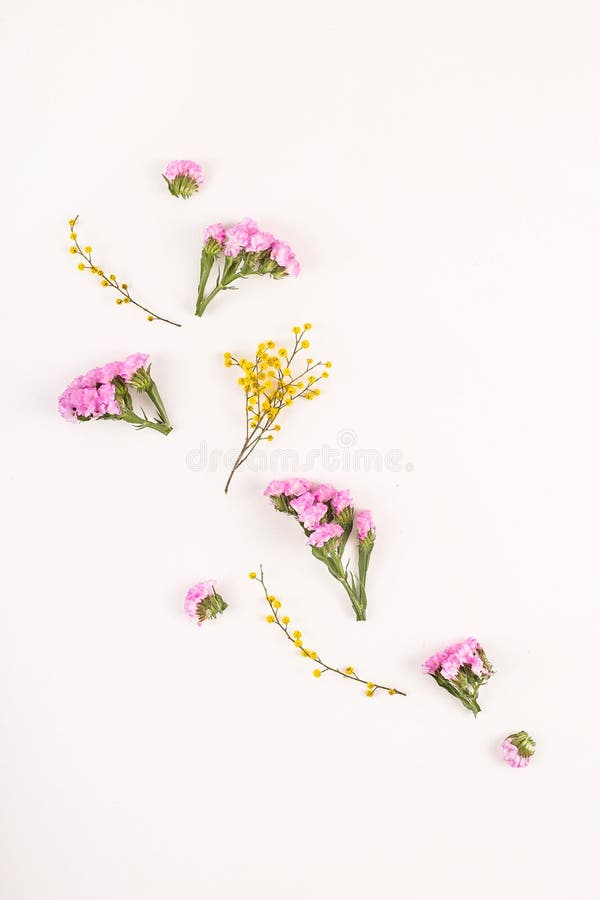 Fleurs sur un fond blanc - bonjour ressort et bonjour été photographie stock libre de droits Fleurs sur un fond blanc - bonjour ressort et bonjour été photographie stock libre de droits