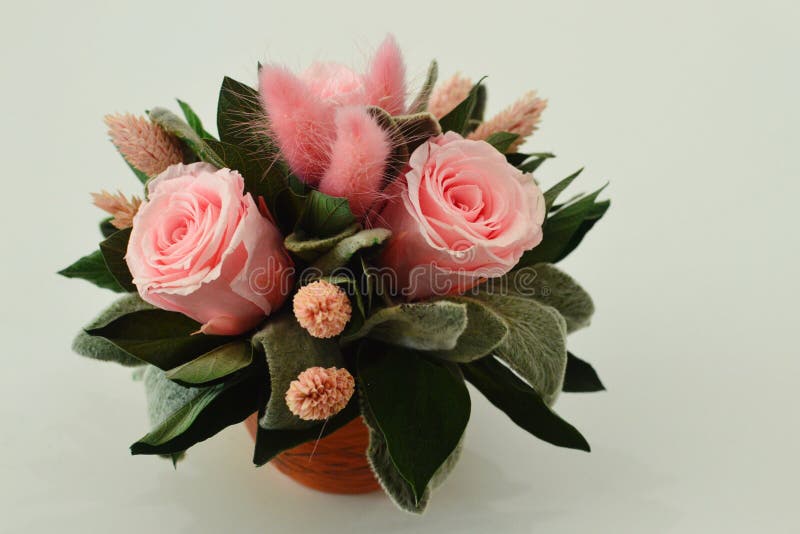 Fleurs sèches pour un décor intérieur photographie stock libre de droits Fleurs sèches pour un décor intérieur photographie stock libre de droits