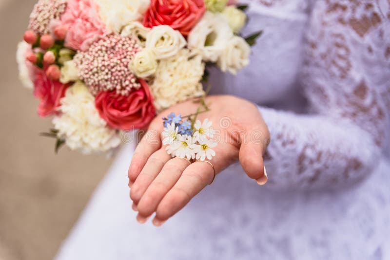 Fleurs tendres dans la main de la jeune mari?e photographie stock libre de droits Fleurs tendres dans la main de la jeune mari?e photographie stock libre de droits