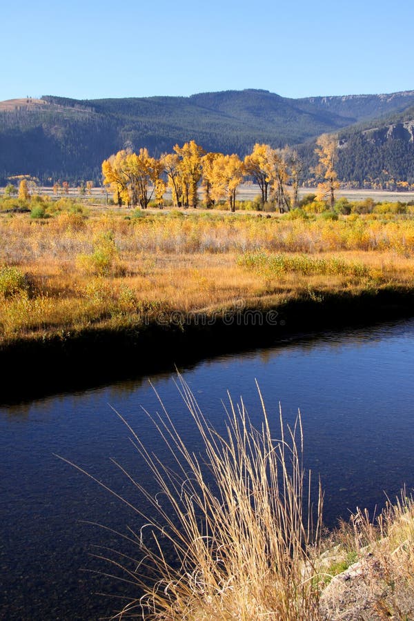 Fleuve de Yellowstone images libres de droits Fleuve de Yellowstone images libres de droits