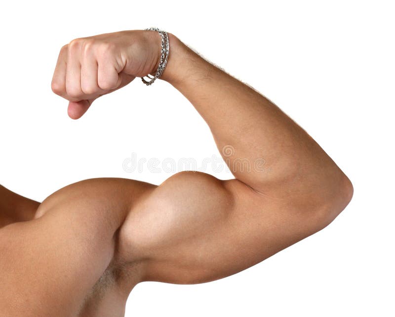 Flexed Biceps Isolated on White Stock Photo Image of healthy, show 6876176