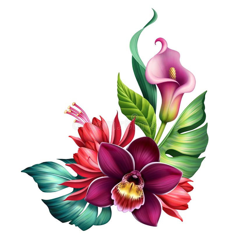 Flexillustration av färgämnet bouquet med tropiska blommor och gröna blad. Konstruktionselement för botaniska hörn isolerat på vit royaltyfri bild
