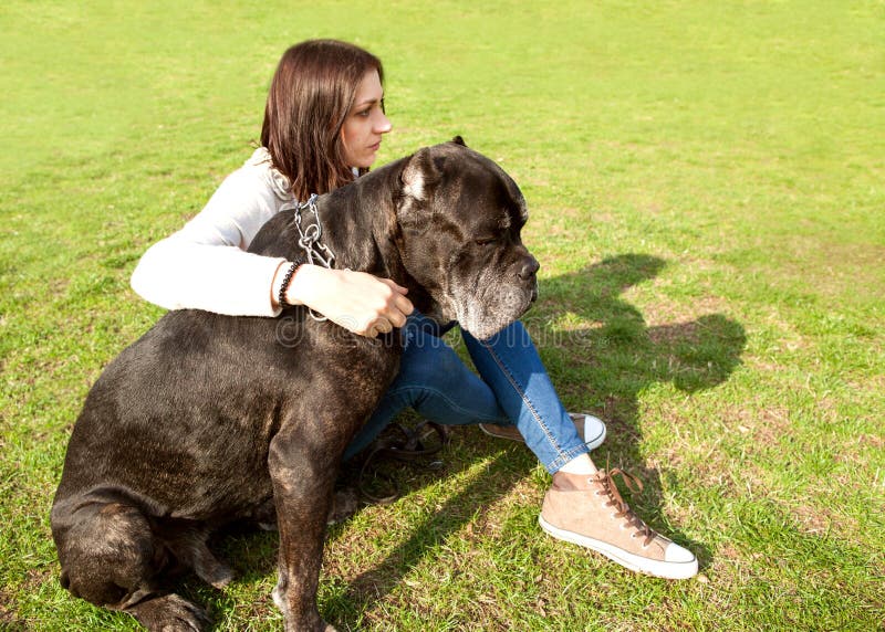 Flicka i parkera som går med deras stora hund Cane Corso arkivfoto Flicka i parkera som går med deras stora hund Cane Corso arkivfoto