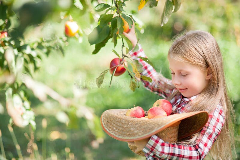 Flicka med Apple i den Apple fruktträdgården Härlig flicka som äter organiska Apple i fruktträdgården Hösten låter vara kanten me royaltyfria foton Flicka med Apple i den Apple fruktträdgården Härlig flicka som äter organiska Apple i fruktträdgården Hösten låter vara kanten me royaltyfria foton