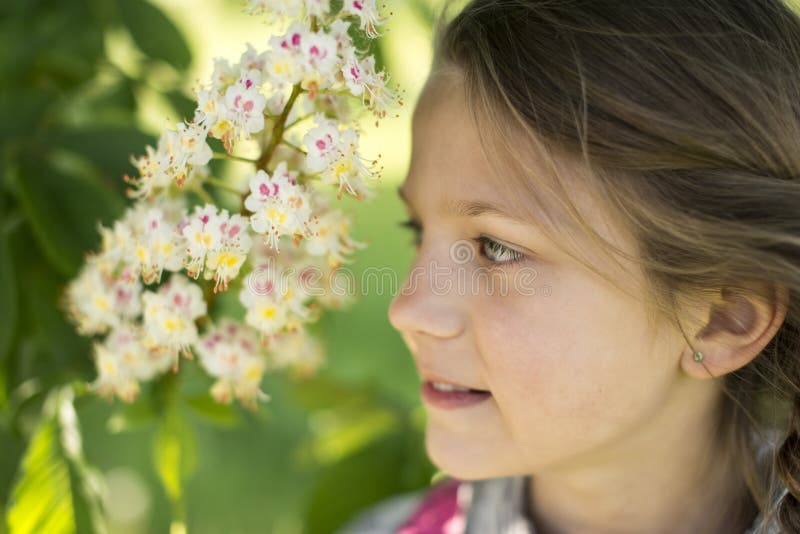 Flicka nära den blommande kastanjen arkivfoton Flicka nära den blommande kastanjen arkivfoton