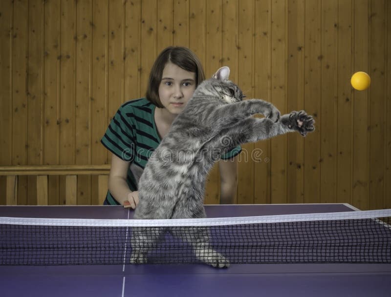 Flicka som spelar bordtennis med en katt royaltyfri foto Flicka som spelar bordtennis med en katt royaltyfri foto