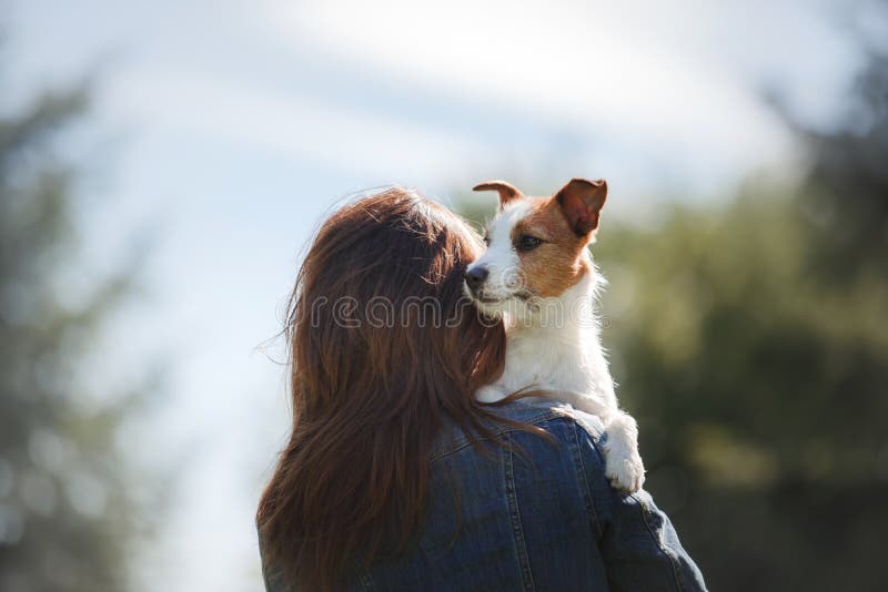 Flickan med hunden i henne armar Lite Jack Russell Terrier arkivbild Flickan med hunden i henne armar Lite Jack Russell Terrier arkivbild