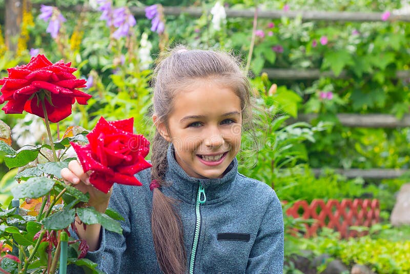 Flickan sitter nära den rosa busken i trädgården med ett bra lynne arkivfoton Flickan sitter nära den rosa busken i trädgården med ett bra lynne arkivfoton