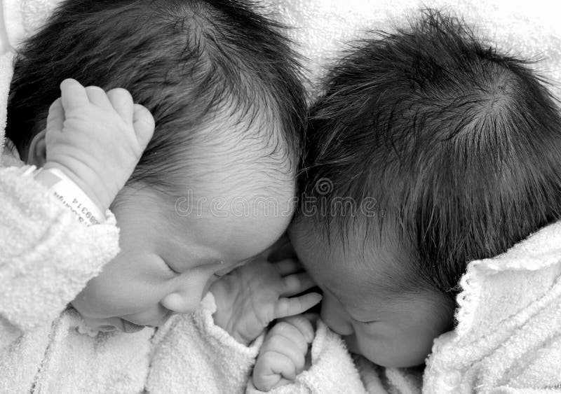 Two half-asian infants curled up together sleeping. Two half-asian infants curled up together sleeping