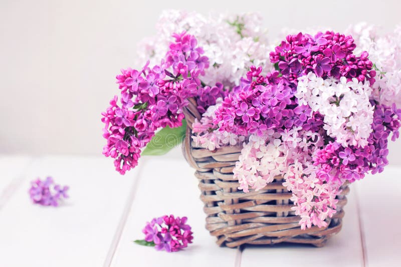 Flieder blüht Blumenstrauß in Wisker-Korb lizenzfreie stockbilder