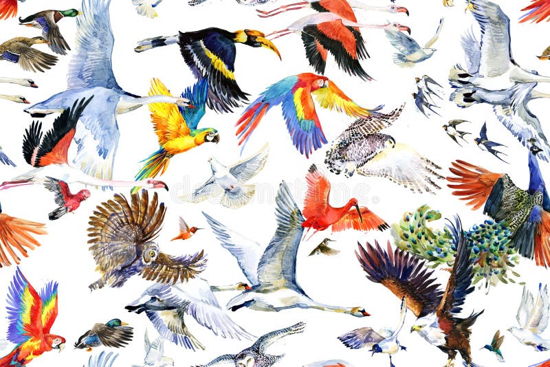Fliegen exotischer Vögel, wasserfarbennahes Muster auf weißem Hintergrund.