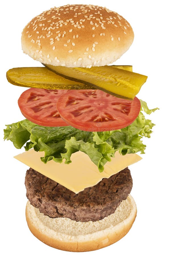 Fliegenburgerbestandteile lizenzfreies stockfoto Fliegenburgerbestandteile lizenzfreies stockfoto