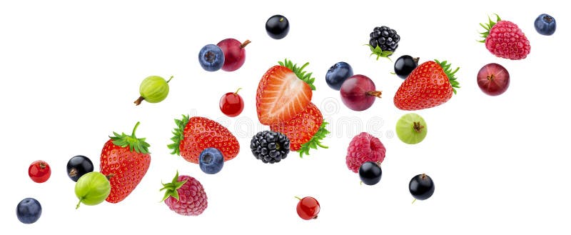 Fliegende Beeren auf weißem Grund isoliert mit Klippenweg. Fliegende Beeren, auf weißem Hintergrund isoliert mit Klipppfad, verschiedene Herbstbeersorten, Sammlung