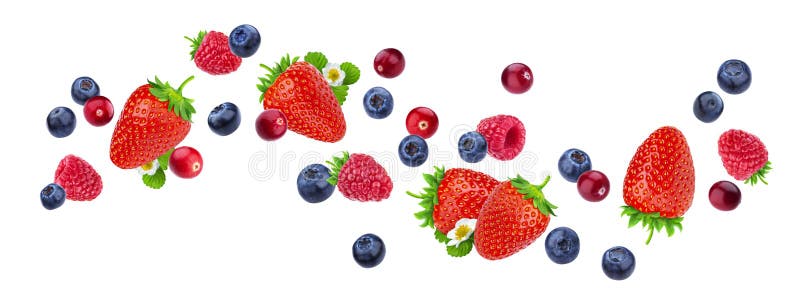 Fliegende Beeren lokalisiert auf weißem Hintergrund mit Beschneidungspfad, unterschiedliches fallendes wildes Beerenobst, Sammlun lizenzfreies stockbild Fliegende Beeren lokalisiert auf weißem Hintergrund mit Beschneidungspfad, unterschiedliches fallendes wildes Beerenobst, Sammlun lizenzfreies stockbild