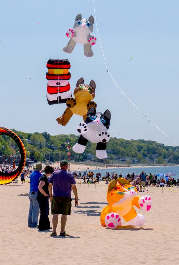 Fliegenkätzchen und andere Drachen an Michigan-Drachen Fest lizenzfreies stockbild Fliegenkätzchen und andere Drachen an Michigan-Drachen Fest lizenzfreies stockbild