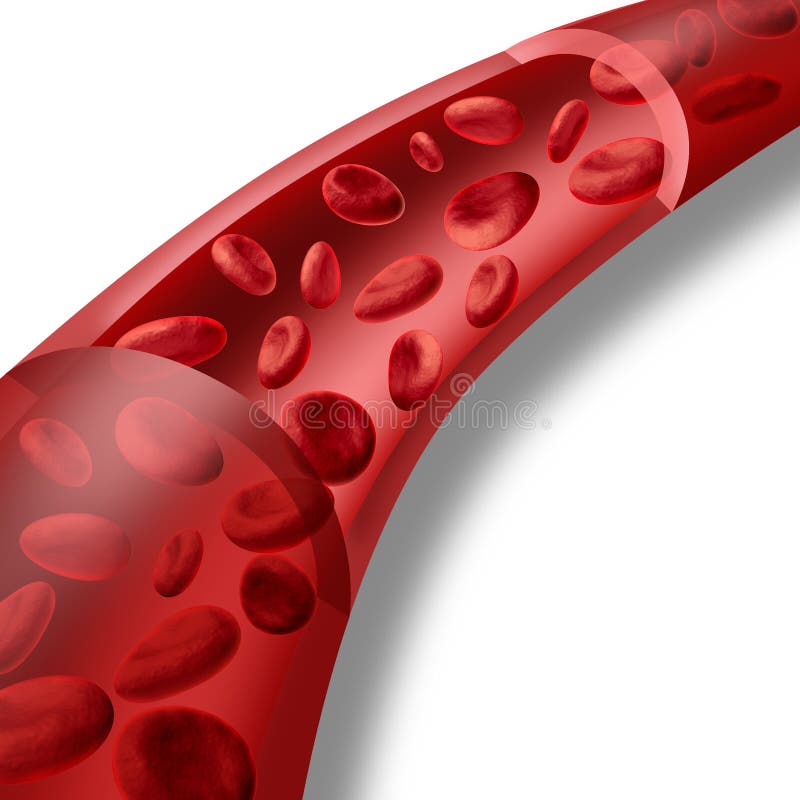 Fließen der roten Blutzellen