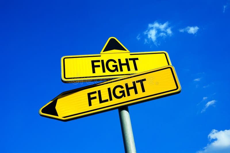 Flight for Fight - Download