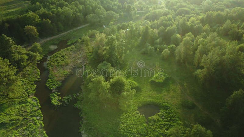 Flight over the city park. A neglected park in the backlight of the sun. A winding river and trees are visible. Aerial photography