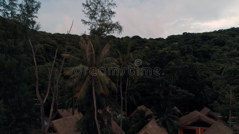 Thailand Coral Island Drone Shot