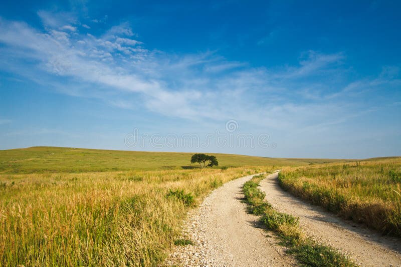 Flint Hills Gravel Road