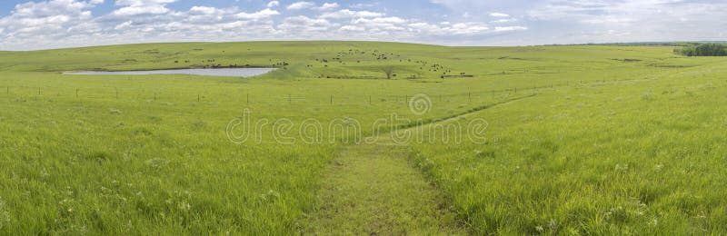 Flint Hills panorama