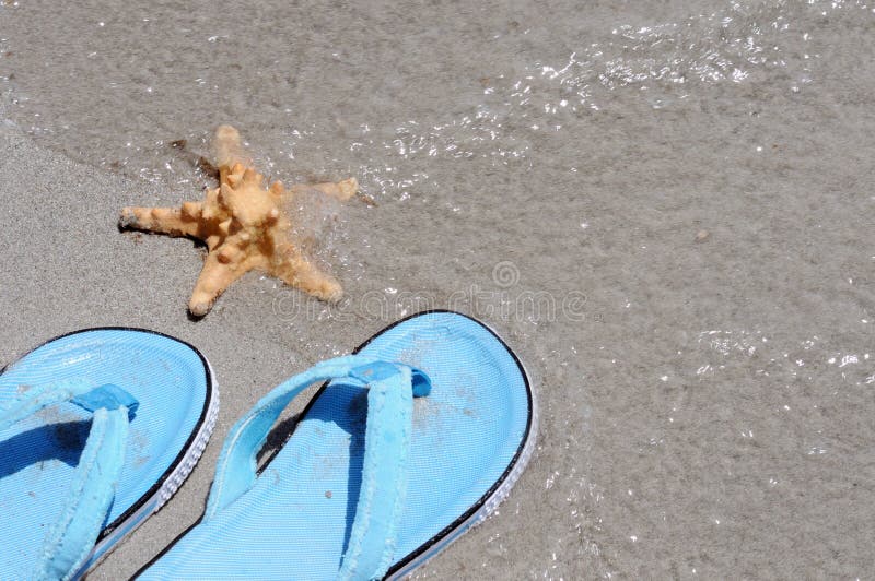 Flip-flops and seafish