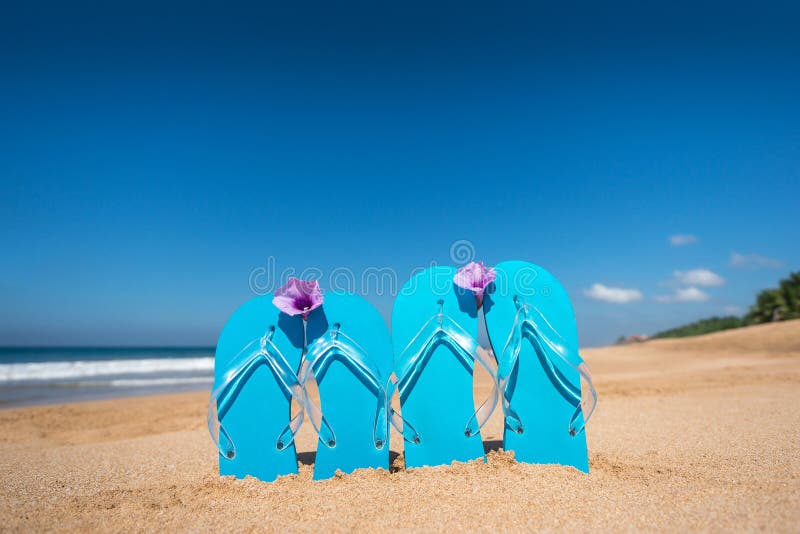 Flip Flops on a Tropical Beach Stock Photo - Image of closeup, sandy ...