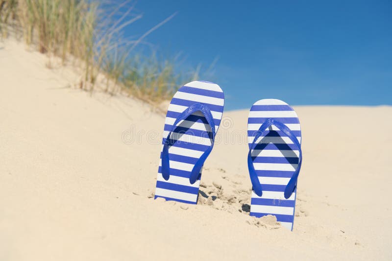 Purple and white striped flip flops in the dunes at the coast. Purple and white striped flip flops in the dunes at the coast