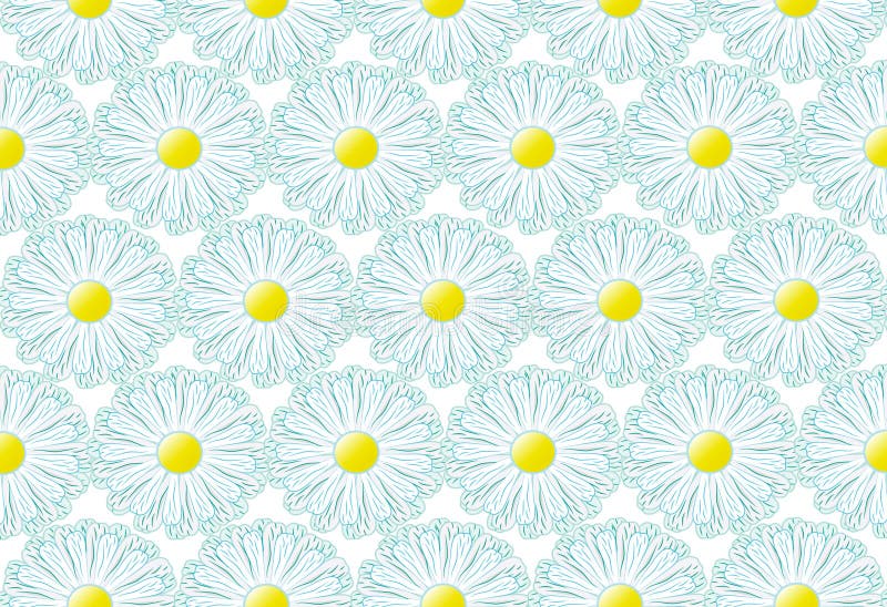 Fllowers background illustrations with white daisies. Fllowers background illustrations with white daisies