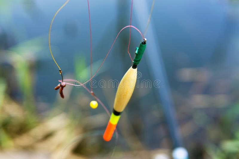 Float and Fishing Hooks with Bait Hanging on a Fishing Line Stock Image