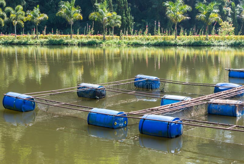 Floating Basket for Keeping Live Fish in Water. Stock Image - Image of  pond, design: 87108795