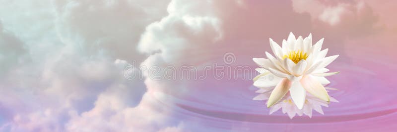 Floating beautiful lotus and reflection of sky with fluffy clouds on water, toned in pastel rainbow colors. Symbolic flower in