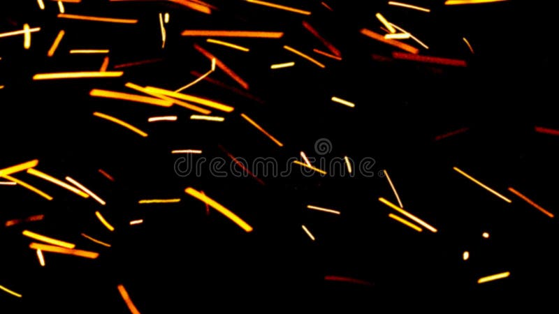 Floating embers sparks background PNG transparent. Opacity or screen mode usage for overlay royalty free stock photos