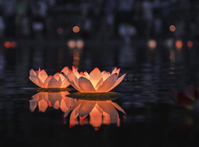 10 x 25cm Lotus Flower Floating Paper Lantern Chinese Candle Water Lighting 
