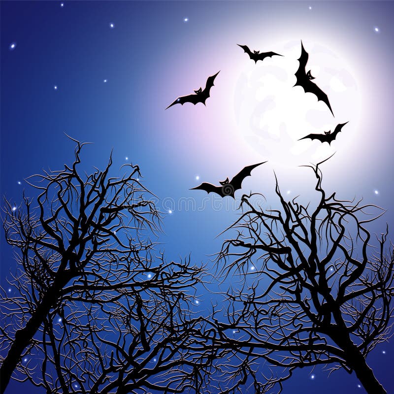 Collection 102+ Wallpaper Sound Of Bats At Night Updated