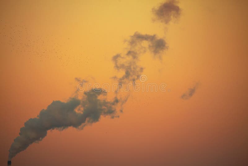 Polluted smoke