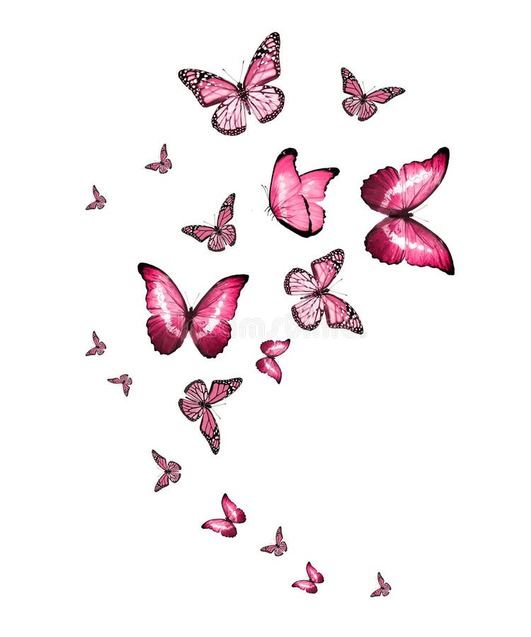 Flock of Flying Butterflies Isolated Stock Photo - Image of dream ...