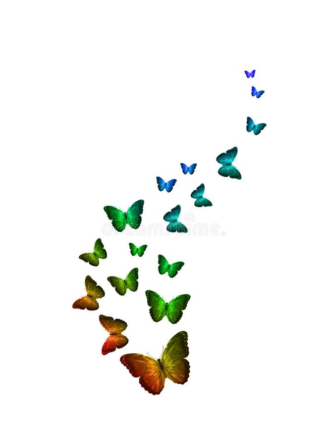 Flock Butterflies Stock Photos Download 643 Royalty Free Photos
