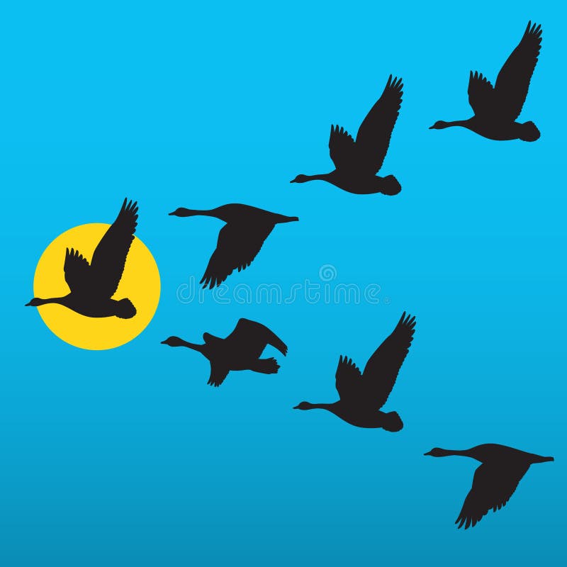 My Image 12