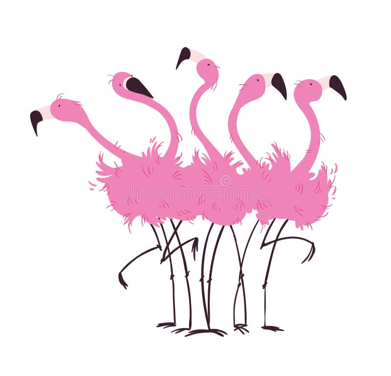 Flock of flamingos vector illustration