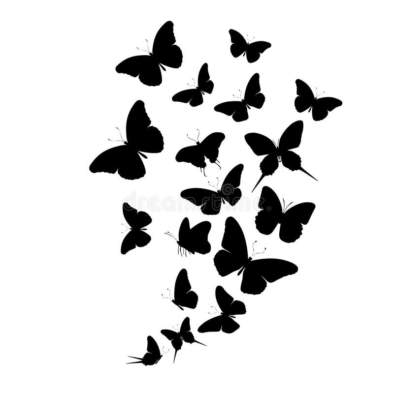 Butterfly Flying Away Black And White