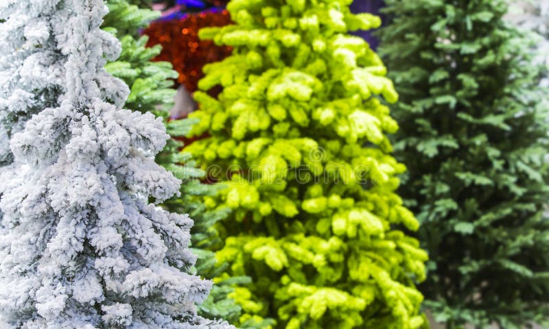 Flocked Christmas Tree with multi colors