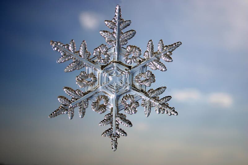 Flocon de neige photographie stock Flocon de neige photographie stock